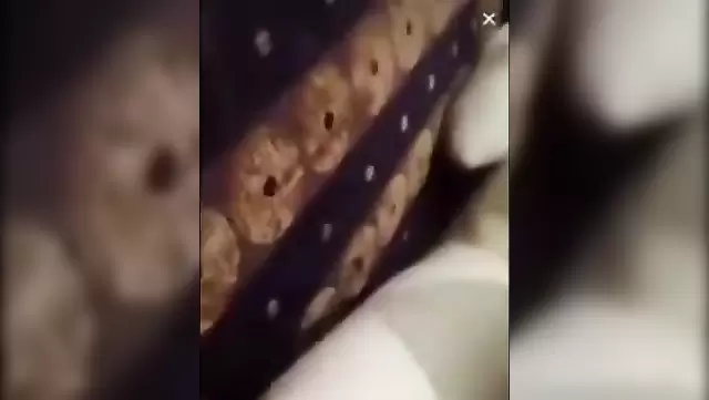 Azerbaijani wife's homemade sex with husband