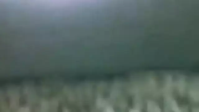 Fucked an Azerbaijani student in the toilet
